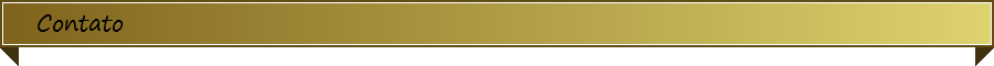 Contato